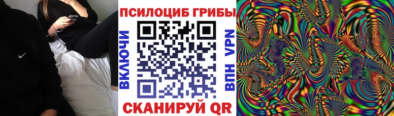 Псилоцибиновые грибы Magic Shrooms  закладки  Ивдель 